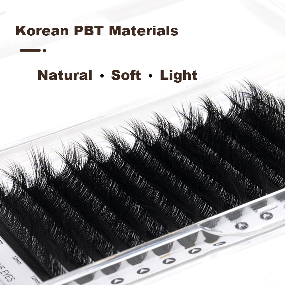 Extensions de cils Camellia - Boucle DD